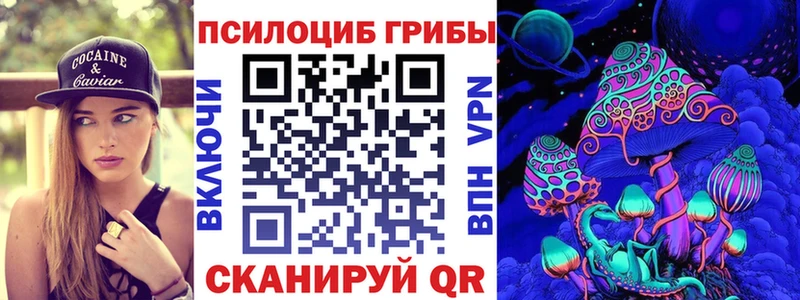 наркота  Тулун  Псилоцибиновые грибы прущие грибы 
