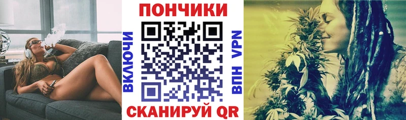Бошки марихуана сатива  Тулун 